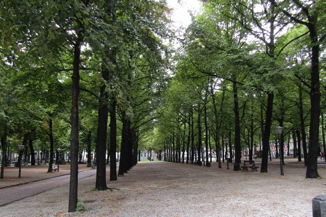 Lange Voorhout in Den Haag door Yoesoep Adji (bron: Shutterstock)