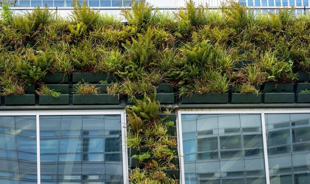 Detial van een groene gevel door Wirestock Creators (bron: Shutterstock)