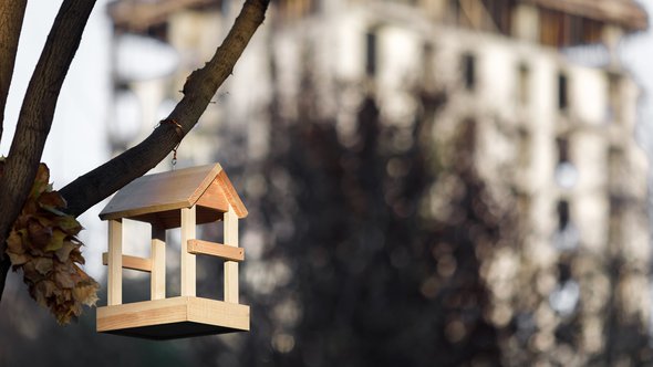 Een nestkast in de stad door Evgenyrychko (bron: Shutterstock)