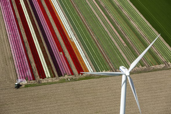 Windmolen naast boerenveld door Aerovista Luchtfotografie (bron: shutterstock.com)
