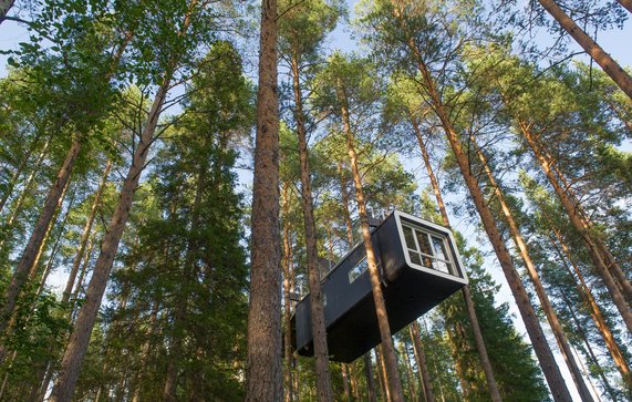 HARADS, SWEDEN - 29 JULY 2017 : The Cabin a modern treehouse in the woods , Harads, Sweden door O.C Ritz (bron: shutterstock)