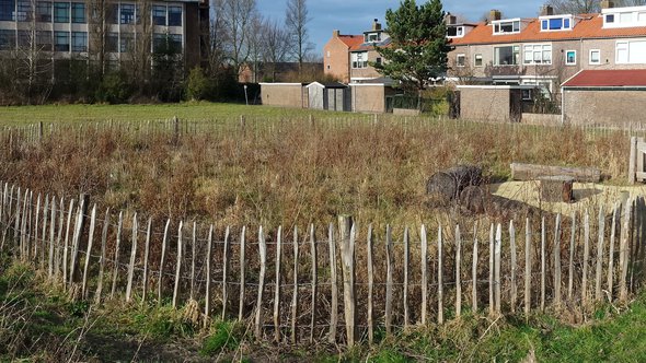 Tiny forest - Den Helder door Lars van der Heide (bron: Creative commons)