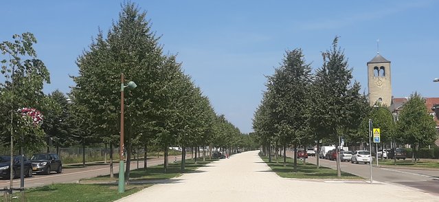 Groene Loper Maastricht door Laan & Haan (bron: Laan & Haan)