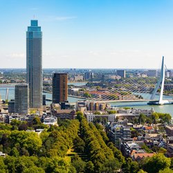 Panorama van Rotterdam met uitzicht op de Erasmusbrug door BearFotos (bron: Shutterstock)