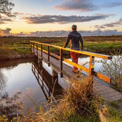 Nederlands landschap Nationaal Parklandschap de Drentsche Aa, provincie Drenthe door Rudmer Zwerver (bron: Shutterstock)