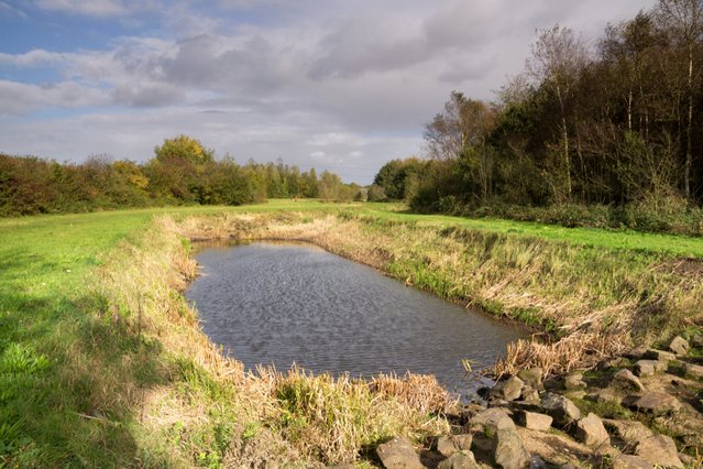 Vispassage in de rivier de Beerze bij het Nederlandse dorp Spoordonk door jstuij (bron: Shutterstock)