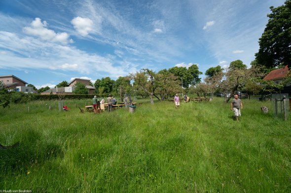 Bewoners onderhouden samen het groen door Huub van Beurden (bron: Huub van Beurden)