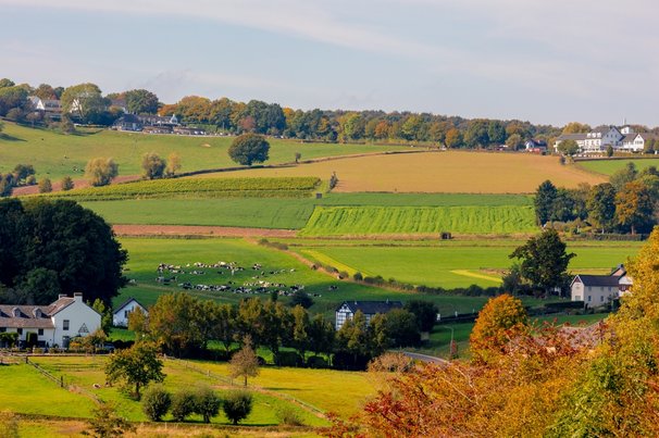 Herfstlandschap in Zuid-Limburg door Wut_Moppie (bron: Shutterstock)