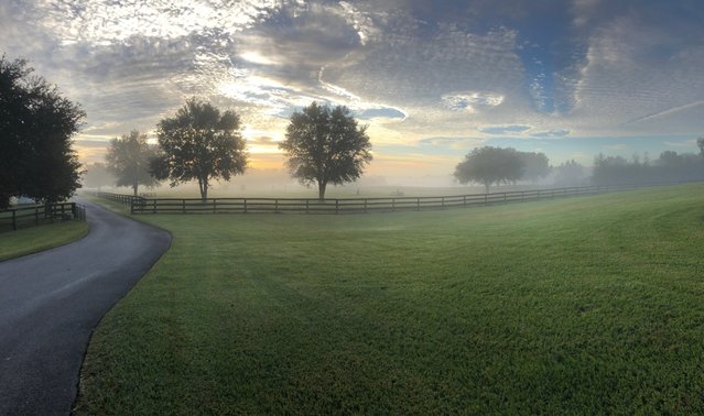 Zonsopgang in de mist Ocala Florida door HIflorida (bron: shutterstock)