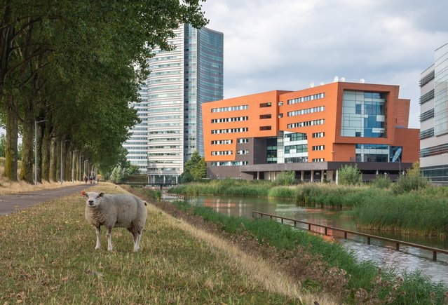 Hoofddorp door Milos Ruzicka (bron: Shutterstock)