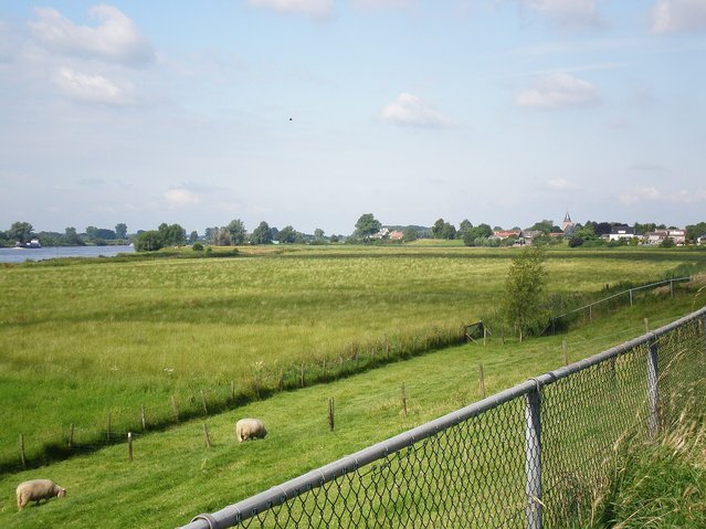 Dijk bij Ammerzoden door Ninane (bron: Wikipedia Commons)