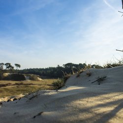 Veluwe