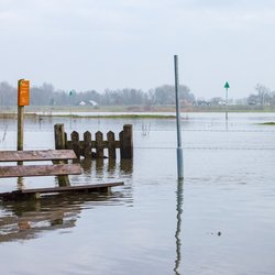 Olst Wijhe in Overijssel door INTREEGUE Photography (bron: Shutterstock)