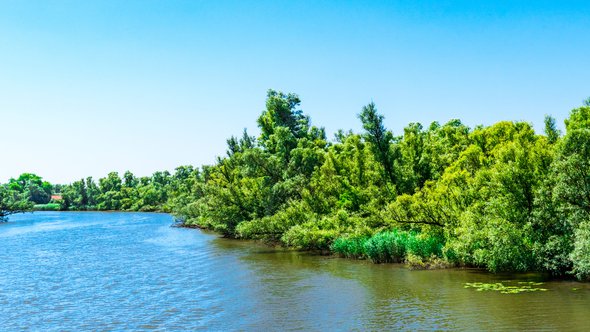 Rivier de Amer in Noord-Brabant. door Poleijphoto (bron: Shutterstock)