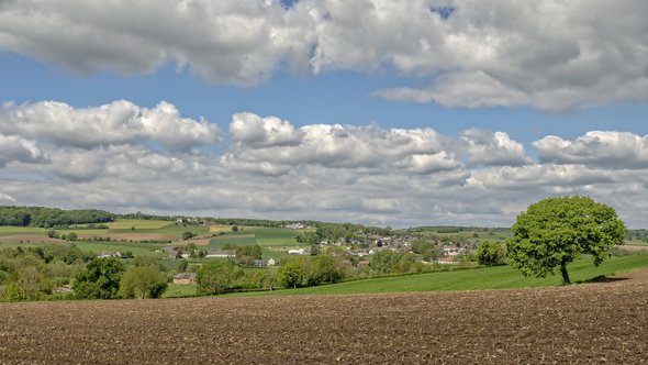 "Heuvellandschap Epen en Vijlen - Zuid-Li" (CC BY-ND 2.0) by Frans Berkelaar door Frans Berkelaar (bron: Flickr)