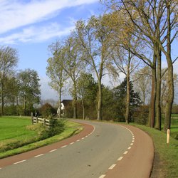 Buurtschap Rijnenburg, polder bij Utrecht door Jan Dijkstra (bron: Wikimedia Commons)