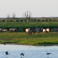 2014.10.07_Overleven in de nieuwe wildernis_660