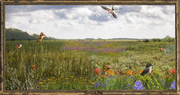 prairie landschap door Nadine van den Berg (bron: Van den Berg, N. (2021))