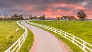 Het platteland van Groningen door Rudmer Zwerver (bron: Shutterstock)