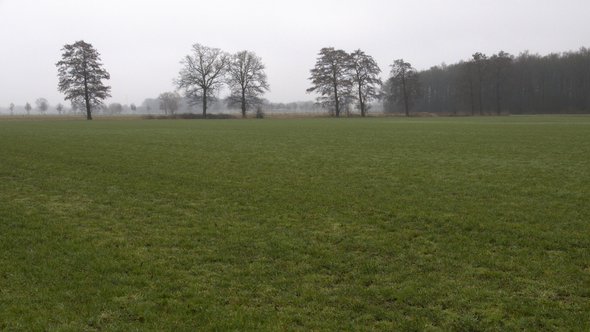 weiland brabant