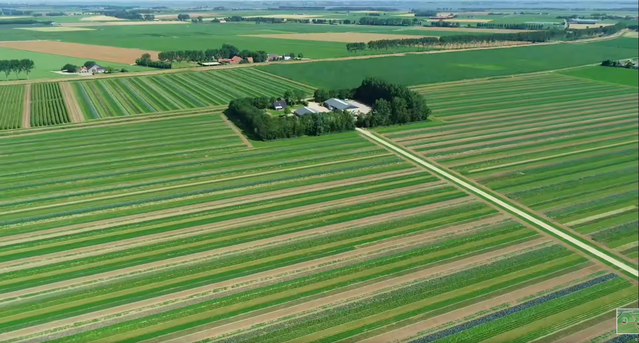 Luchtbeeld van Bi-Jovira met de bomenkraag rondom het erf en het fijnmazige akkerland door Bi-Jovira en Drone-Photo (bron: Video Bi-Jovira en Drone-Photo)