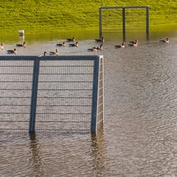 Voetbalveld tijdens overstroming van de IJssel in Rheden door Daan Kloeg (bron: Shutterstock)