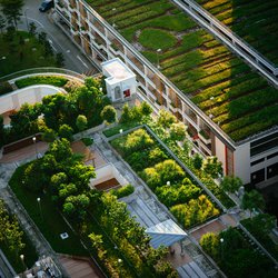 Top view of building with trees door CHUTTERSNAP (bron: Unsplash)