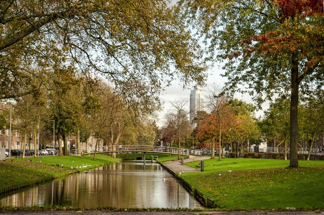 Rotterdam, The Netherlands, November 5, 2022: view along Lepelaarsingel canal in Charlois neighbourhood with the downtown highrise in the distance door Frans Blok (bron: shutterstock)