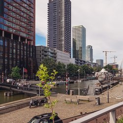Stedelijke waterkant in Rotterdam door River Cruise Mentor (bron: Shutterstock)
