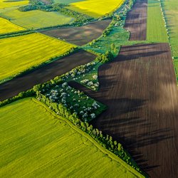 Platteland met groene en gele landbouwvelden. door Stefan Milivojevic (bron: shutterstock)