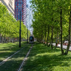 Tram in Rotterdam door rawf8 (bron: Shutterstock)