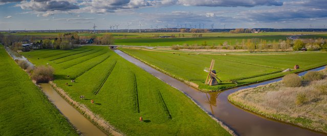 Landerijen met koeien en windmolens door Frederick Doerschem (bron: Shutterstock)