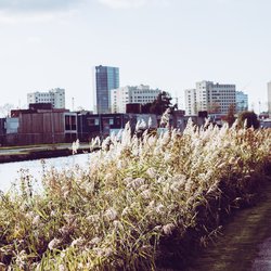 Amsterdam river and Bijlmer Bajes prison with nature and plants door etreeg (Shutterstock)