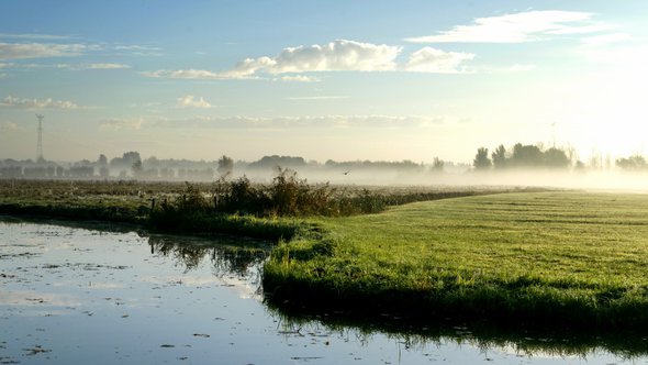 Dordrecht weiland