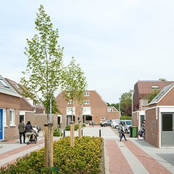 2016.01.11_Geslaagde metamorfose van een bloemkoolwijk in Hoofddorp_cover