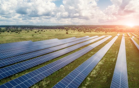 Zonneveld door ver0nicka (bron: shutterstock.com)