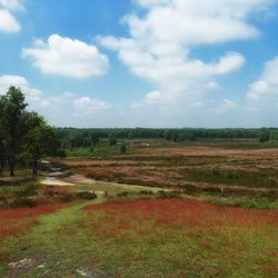 Landschap Nederland