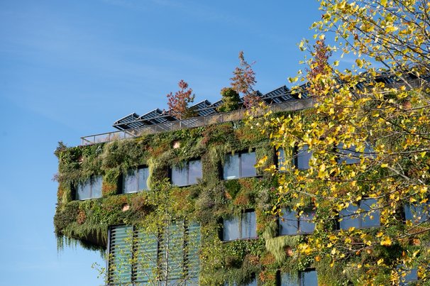 Groene gevel, gebouw voor Floriade, Almere door Smeerjewegproducties (bron: Shutterstock)