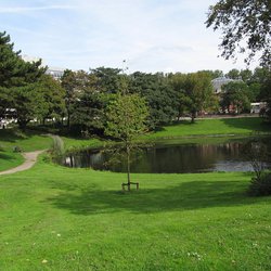 Park A-Gogelweg Den Haag door Michiel1972 (bron: commons.wikimedia.org)