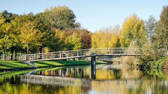 Zuiderpark, Rotterdam door Frans Blok (bron: Shutterstock)