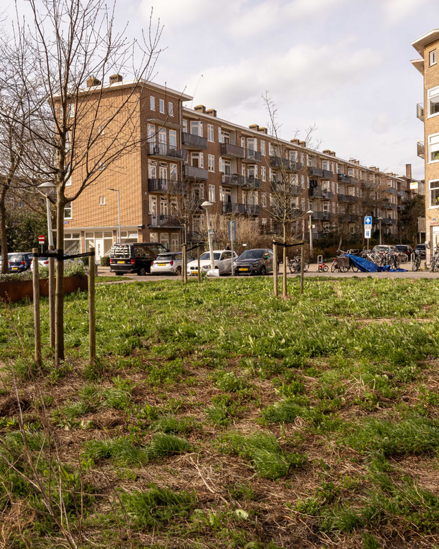 Vergroening West Wachterliedplantsoen door Sanne Couprie (bron: Gemeente Amsterdam)