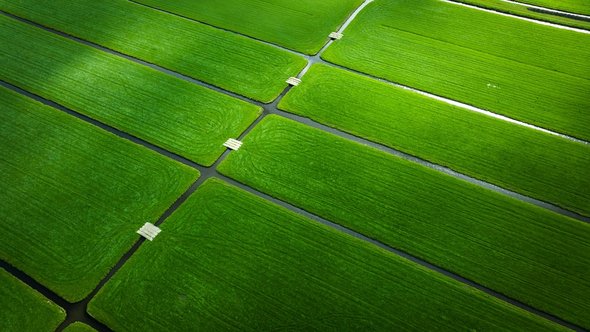 Luchtfoto van groene velden en landbouwvelden in Nederland. door PBabic (bron: Shutterstock)