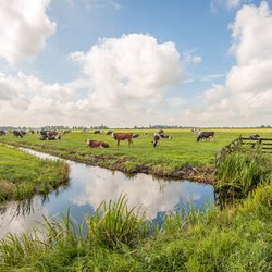 Langerak, Zuid-Holland door Ruud Morijn Photographer (bron: Shutterstock)