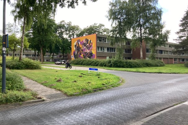 Emmerhout, Emmen door Teun van den Ende (bron: Teun van den Ende)