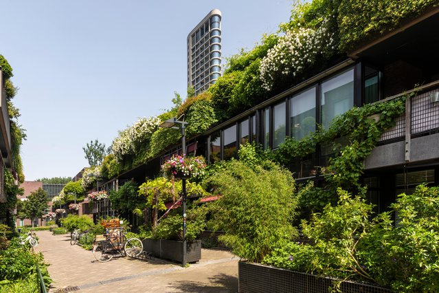 Groene straat, Eindhoven door Lea Rae (bron: shutterstock.com)