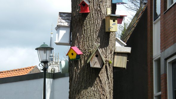 2015.06.08_Pionieren in je eigen stad_C