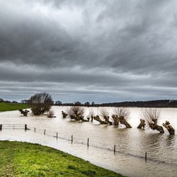 De Rijn, Gelderland door INTREEGUE Photography (bron: shutterstock)