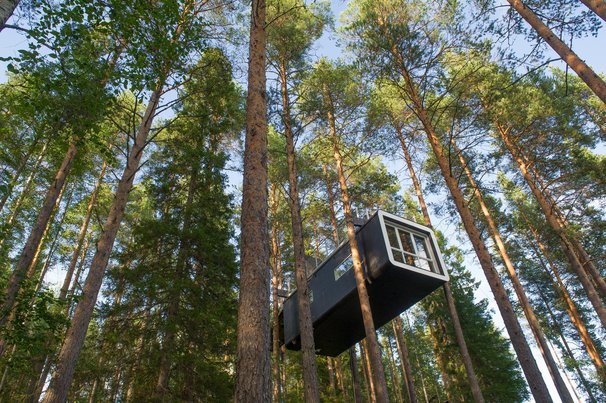 HARADS, SWEDEN - 29 JULY 2017 : The Cabin a modern treehouse in the woods , Harads, Sweden door O.C Ritz (bron: shutterstock)