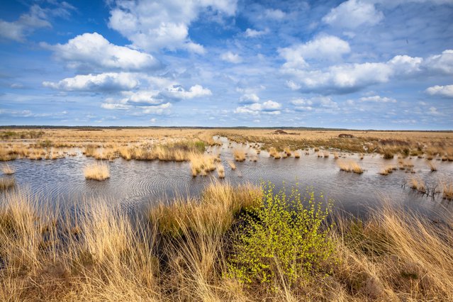 Narrow asphalt path for bicyclists and pedestrians betwee two canals under a dramatic sky on a winter day in vlietlanden nature reserve near Maasland, The Netherlands door Frans Blok (bron: shutterstock)