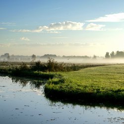 Dordrecht weiland